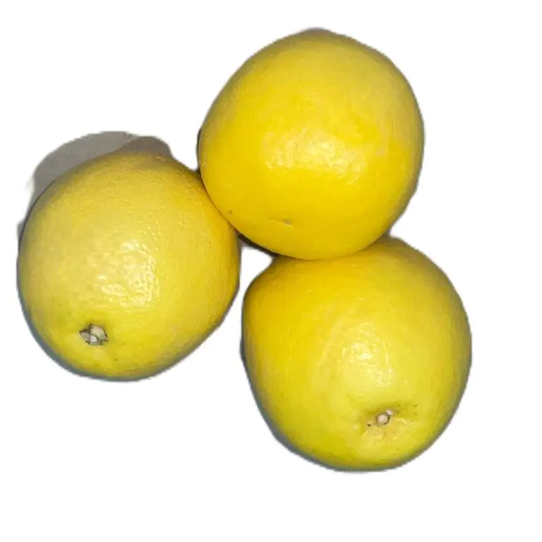 grapefruit.webp