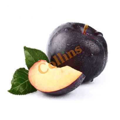 PLUMS