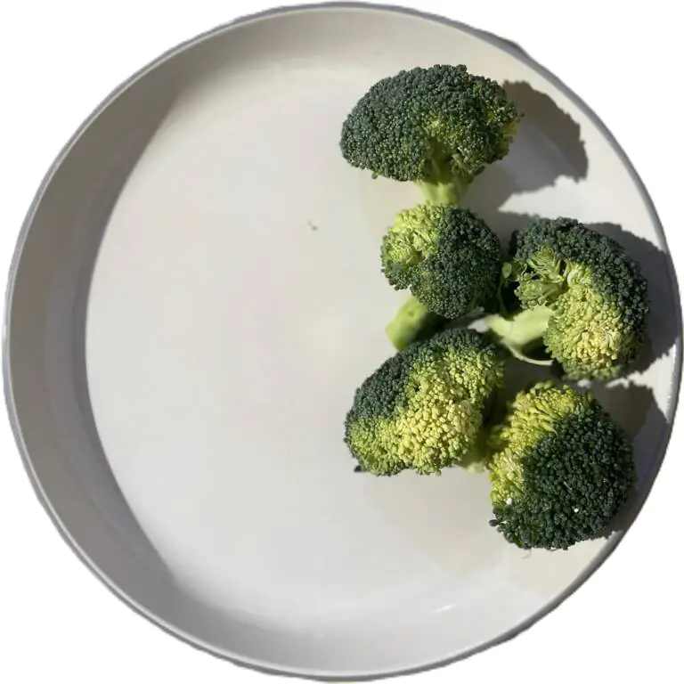 BROCCOLI.webp
