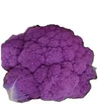 caulipurp.webp